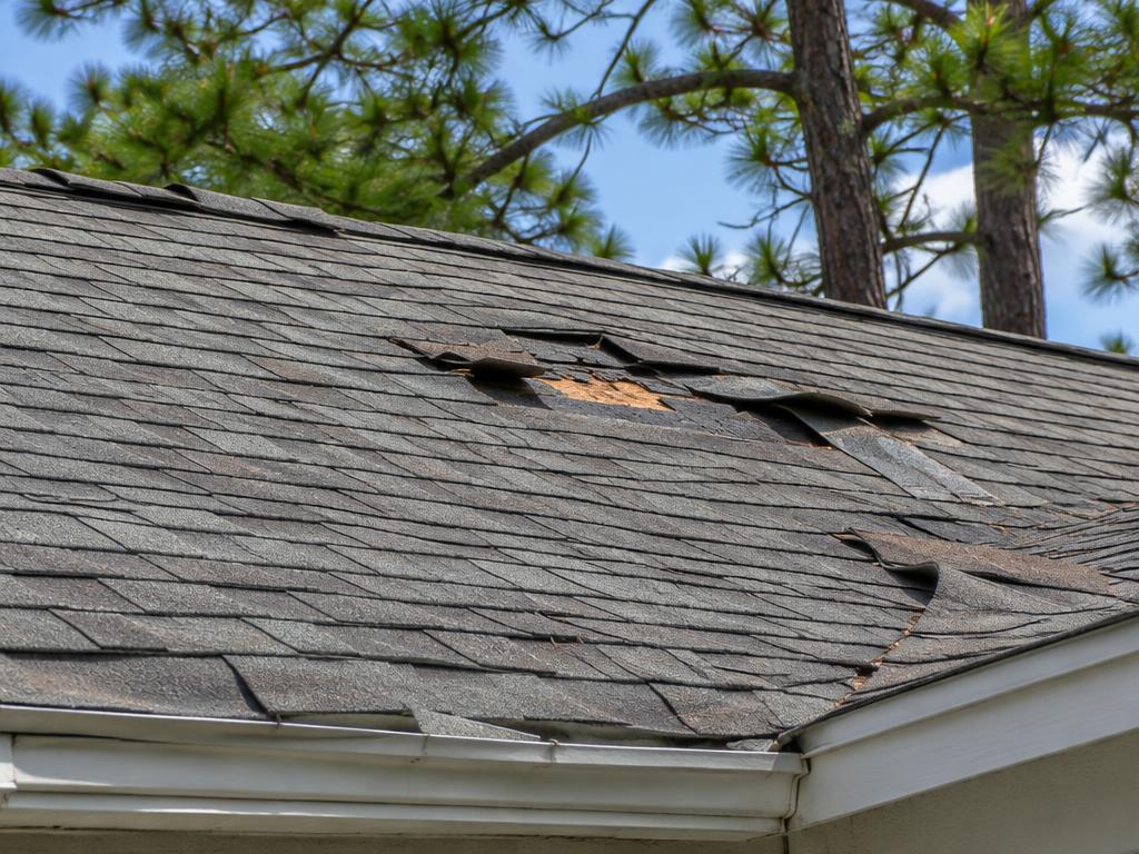 Lifted and missing asphalt roof shingles requiring repair